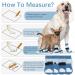 Buy Kuoser Dog Socks - 3 Pairs Anti-Slip Paw Protection for Hardwood Floors | Blue M M - 6-Pack - Buy Online on GoSupps.com