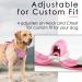 Buy Thinkpet Anti-Zug Dog Harness - Adjustable Reflective Breathable with Handle - No Choking Design for Small Dogs (Pink S) - International Shipping Available - Buy Online on GoSupps.com