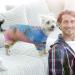 Warm Winter Dog Vest Jackets | Windproof Dog Coats & Sweaters for Small Medium Large Dogs - Rainbow Design - Buy Online on GoSupps.com