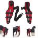 Dog Knee Brace Adjustable Dog Leg Brace Double Rear Leg Brace Elastic Shockproof Dog ACL Brace CCL Brace Hind Leg Pet Knee Pads with Reflective Strips for Pets and Dogs (XS) X-Small - Buy Online on GoSupps.com