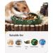 Dried Mealworms 3.5oz - Pet Food for Reptiles, Birds, Fish, and Small Animals - Buy Online on GoSupps.com