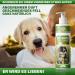 Adema Natural Petbath - Best Dog Shampoo for Itching Fleas Mites & Lice - 200ml Natural Formula for Dogs & Puppies - Buy Online on GoSupps.com