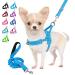 Eyein no-pull dog harness with leash dishes with soft padded reflective adjustable breast dishes for puppies small dogs large dogs pets cats (light blue s) light blue s