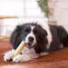 Natural Cheese Chewing Bones for Dogs - Durable Tasty XL 3-Pack | Long-Lasting Chews - Buy Online on GoSupps.com