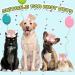 Rimobul Pet Crown Hat - Reusable Birthday Party Crown for Pet Girl Cat Dog - Pet Gift Grooming Accessories - Pink - Pack of 1 - Buy Online on GoSupps.com
