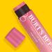 Burt's Bees Tinted Lip Balm Hibiscus - 0.15 Ounce (2 Count) | Natural Moisturizing Lip Care | International Shipping Available - Buy Online on GoSupps.com