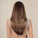 Allbell Colored Honey Brown Wigs for Women - Long Straight Layered Synthetic Wigs with Bangs | Shop 2127-2 Online - Buy Online on GoSupps.com