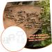 SEWOART 2pcs Ant Water Feeder Ants Ant Nest Water Feeder Ant Liquid Feeder Pet Waterer Transparent Acrylic - Buy Online on GoSupps.com