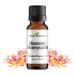 Heavenly Honeysuckle 10ml (0.35fl oz) Premium Fragrance Oil Aromatherapy Diffuser Crafts Soap Home Scents Bath & Body DIY Parfum and Much More. Versatile & Long-Lasting by Sweet Essentials