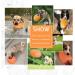 Andiker Dog Flying Disc Toy - Durable Rubber Pet Chew Toy for Outdoor Fun | Large Orange - Buy Online on GoSupps.com