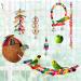 17-Piece Bird Parakeet Toy Set | Swing, Chew, Climb, Hang | Coconut Cage Toys for Cockatiels, Conures, Finches, Budgies | Lovebird Accessories - Buy Online on GoSupps.com