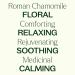 Plant Therapy Roman Chamomile Essential Oil 10 mL (1/3 oz) 100% Pure Undiluted Great for Essential Oil Diffusers Promotes Restful Sleep Supports Healthy Skin - Buy Online on GoSupps.com