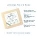 Naples Soap Company Cult Classics Collection Gift Set | Eco-Friendly Natural Soap Body Butter Sea Salt Scrub Shampoo & Conditioner Bars | Lavender | Cruelty-Free No Parabens or Silicones - Buy Online on GoSupps.com