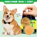 Oimmal Probiotics for Dogs Gut Health - 30pc Digestive Treats for Dog Support Seasonal Allergies Itchy Ears Dog Probiotic Supplement Soft Chews Improve Pet Immune System Dogs - Duck Flavour - Buy Online on GoSupps.com