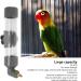 Deosdum Automatic Bird Water Dispenser - Parrot Drinking Fountain & Cage Accessory (Gray) - Perfect Pet Hydration Solution - Buy Online on GoSupps.com