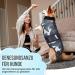 Shop Eyein Dogebody: Breathable Soft One-Piece for Dogs - Zipper & Belt Wound Protection E-Neck Band Alternative - Camouflage XXL - Buy Online on GoSupps.com