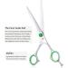 Purplebird Fellscher Dog Grooming Scissors Set - 7 Inch Professional 440C Japanese Stainless Steel - Straight Curved & Chunker Tools for Animal Care - Buy Online on GoSupps.com