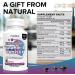 Liposomal Vitamin B Complex - 9 Essential B Vitamins 10x Absorption 90 Soft Capsules (2 Pack) - Additive-Free 3 Month Supply for Optimal Health - Buy Online on GoSupps.com