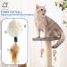 Cat Scratching Post with Sisal Rope, Arch Self Groomer, and Plush Cover - Ideal for Indoor Cats and Kittens - Buy Online on GoSupps.com