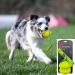 SKIPDAWG Robust Floatable Dog Toy - Throwing Ball with Loop for Interactive Play & Tug - Buy Online on GoSupps.com