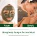 Borghese Fango Active Mud for Face and Body - Detoxify and Revitalize Your Skin - Buy Online on GoSupps.com