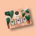 Focus Essential Oil Set of 3 | Pure Aromatherapy Oils for Productivity & Relaxation | Perfect for Home Office & Diffuser - Buy Online on GoSupps.com