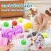 Interactive Cat Toys - 2 Pieces with 100 Plush Balls | Noiseless & Fun for Indoor/Outdoor Training | Relieves Depression in Cats & Kittens - Buy Online on GoSupps.com