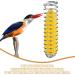 Premium Bird Toys - Stainless Steel Feed Dispenser & Vegetable Holder - Perfect for Budgies Parrots Conures and Lovebirds - 2 Pack - Buy Online on GoSupps.com