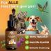 Adema Natural Wurmidin Liquid | Natural Worm Cure for Dogs Cats Rabbits Sheep Poultry & Birds | 50 ml Worm Treatment Alternative - Buy Online on GoSupps.com