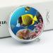 Round Tropical Fish Print Pill Box | 3 Compartment Portable Medicine Organizer - Stylish Metal Design - Buy Online on GoSupps.com