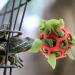Lodcazio Turtle Treat Hay Feeder Ball - Ideal Food Dispenser for Tortoises & Small Pets - Fruit & Vegetable Holder Toy (GetaWay Solids) - Buy Online on GoSupps.com