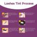 AYASAL Lash & Brow Coloring Kit | Professional Semi-Permanent 2-IN-1 Color | Long Lasting, Salon & Home Use - Buy Online on GoSupps.com