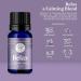 Woolzies Sleep Collection Essential Oil Blend Set - Sweet Dreams, Relax & Stress Relief Oils - Buy Online on GoSupps.com