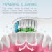 12 Pack o1brand ADULT Toothbrush Heads Compatible with Sonicare Electric Toothbrush Medium Softness Premium Brush Heads (White) - Buy Online on GoSupps.com