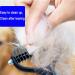 Buy MMSGA Dog & Cat Grooming Comb Set - Double-Sided Fur Stripper & Flea Comb for Animal Care - Large Pink - International Shipping Available - Buy Online on GoSupps.com