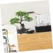 Zerodeko 2pcs Welcome Pine Flower Pot Houseplants Live Indoor Home Desk Fake Bonsai Desk Top Decor Interior Decor Simulation Green Plants Simulation Tree Office Plastic Flower Household - Buy Online on GoSupps.com