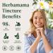 HERBAMAMA Chamomile Tincture - Vegan Relaxation & Calm Support with Chamomile Flower Extract Drops - Non-GMO Alcohol & Sugar-Free Liquid Calming Supplement 28-Day Supply 2 Fl Oz (Pack of 1) - Buy Online on GoSupps.com