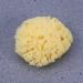 FOMIYES Natural Bath Shower Sponge - Honeycomb Loufah & Face Scrubber for Baby & Body - Eco-Friendly Disposable Sponges for All Skin Types - Buy Online on GoSupps.com