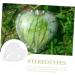 SHOWERORO Plant Clear Fruit Vegetable Fruit Fruit Mould Garden Tools Watermelon - Buy Online on GoSupps.com