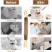 Tao Pipe Catnip Sticks | 6 Interactive Matatabi Chew Toys for Cats | Silver Vine Sticks for Fresh Breath - Buy Online on GoSupps.com