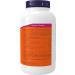 Now Foods B-100 Complex 250vcap 0 250 count (Pack of 1) - Buy Online on GoSupps.com
