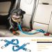 Buy Adjustable Dog Seat Belt 2-Piece Set | Blue Dog Safety Belt for Car - Premium Quality & International Shipping - Buy Online on GoSupps.com