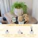 180 Pieces Reed Diffuser Sticks - Rattan Replacement Fragrance Rods for Room Scent | Long-Lasting Aroma Sticks - Buy Online on GoSupps.com