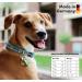 Natural Hemp Dog Treats 100g - Calming Biscuits for Stress Relief | Grain-Free Snacks - Buy Online on GoSupps.com