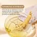 Ginseng Anti Wrinkle Serum Hydration Ginseng Essence Water Ginseng Face Serum Anti Aging Serum for Face Ginseng Extract Anti-Wrinkle Original Serum Oil Moisturize - Buy Online on GoSupps.com