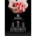 Bluesky Gel Nail Polish Winter Glow 80611 Blush Pale Pink Long Lasting Chip Resistant 10 ml (Requires Drying Under UV LED Lamp) Winter Glow 10 ml (Pack of 1) - Buy Online on GoSupps.com