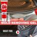 KOAHDE Mould Cleaner Gel Household Mould Removal Gel Deep Mould Remover Gel Gentle Household Mold Gel Household Mould Remover Gel Powerful Black Mould Remover Cleaner Mould for Bathroom Toilet 120G - Buy Online on GoSupps.com
