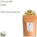 Organic Chamomile Flower Tea - Soothing & Relaxing 300g | Premium Dried Chamomile for Wellness - Buy Online on GoSupps.com