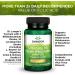 Swanson Dr. Stephen Langer's Formula - Natural Probiotic with Prebiotic FOS - 60 Veggie Capsules - Buy Online on GoSupps.com