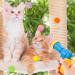 umorismo 2 Pieces Plush Ball Shooting Gun for Cats Cat Ball Gun Interactive Toy Cat Ball Toy Launch Gun with 100 Pcs Balls Cat Ball Toy Launcher for Cat - Buy Online on GoSupps.com
